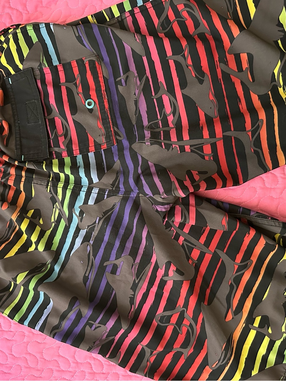 wonder nation Men's Multicolor Rainbow Shark Stripe Cargo Shorts